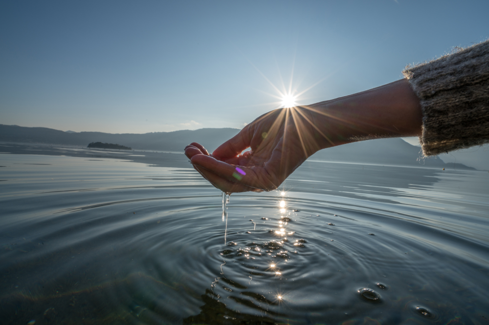 Trauma-Informed Therapy