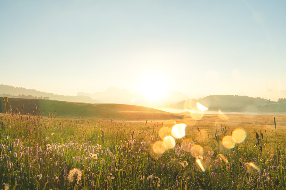 Mindfulness-Based Therapy