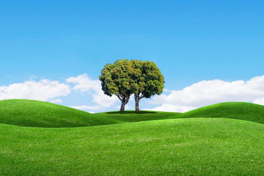 Life Transitions Counseling