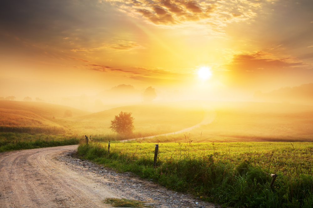 EMDR Therapy